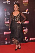 Minissha Lamba at Screen Awards red carpet in Mumbai on 12th Jan 2013 (480) - Copy.JPG